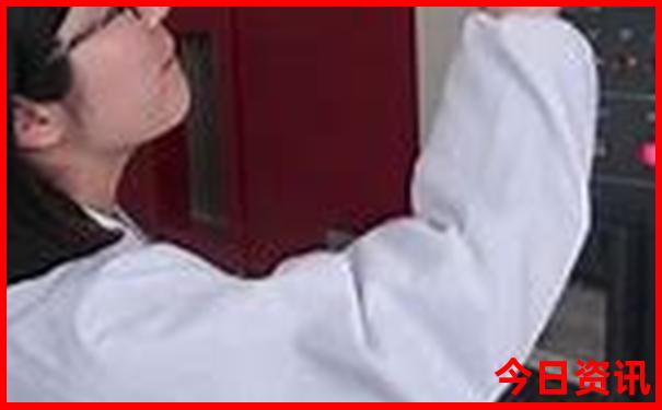 兔子6合生肖是什么生肖